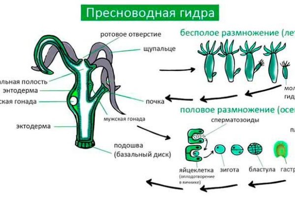 Кракен купить мефедрон