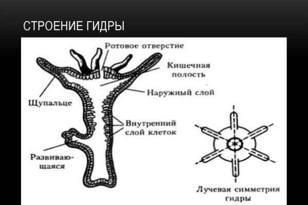 Кракен шоп нарк