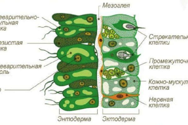 Kraken market зеркала